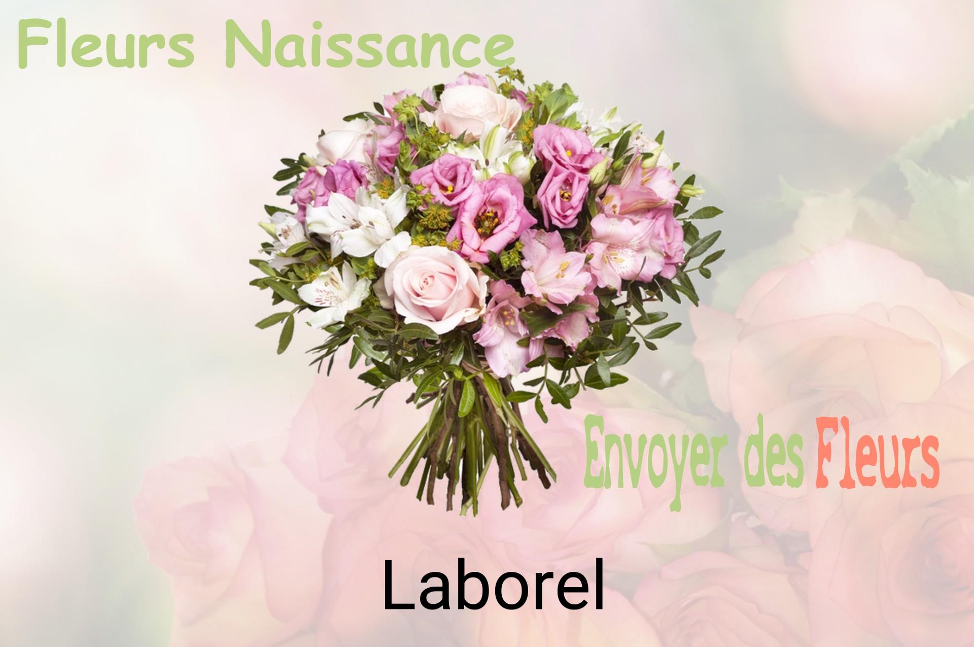 Bouquet de fleurs de naissance livré à Laborel